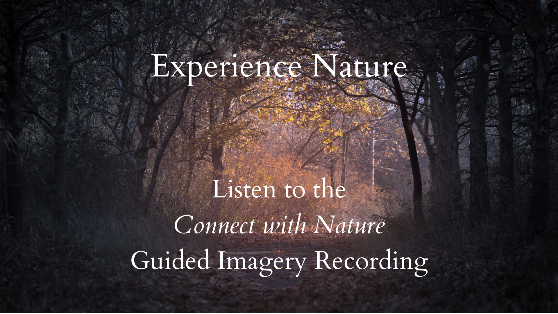 connect-with-nature-guided-visualisation-1